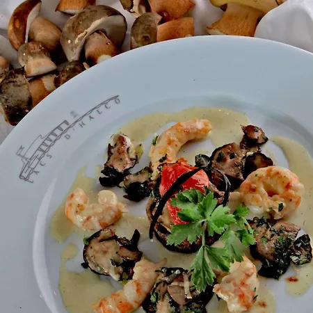 Logis Des Lacs D'halco 4*