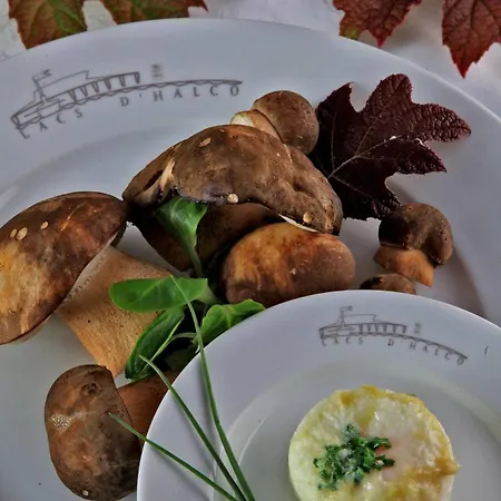 Logis Des Lacs D'halco 4* Hagetmau