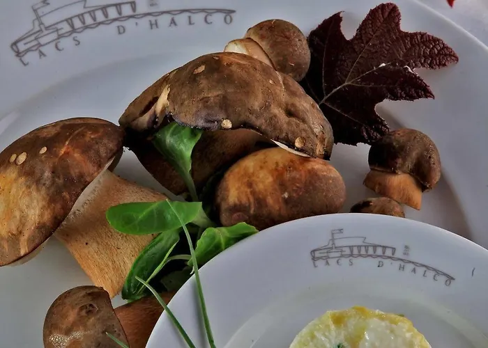 Logis Des Lacs D'halco 4* Hagetmau